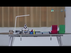 مقطع فيديو لـ (إيه دي إل)